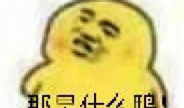 娱乐圈的瓜吃的瓜表情包,瓜表情包盘点